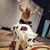Rachel Barrick's profile image