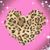 Melissa McKenna Flynn's profile image