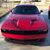 Dale Carr's profile image