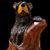 Lisa Carr's profile image