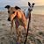 LeeAnne Dauwalder-Heath's profile image