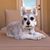 Joan Clawson's profile image