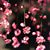 Annmarie Trinh's profile image