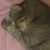 Pamela Scott's profile image
