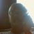 Mike Whitmore's profile image