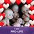 Shelley Everly Van Houten's profile image