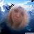 Lori Collins's profile image