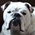 Larry Sullivan's profile image