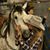 Randi Lynn Timmons's profile image