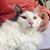 Judy Alberchinski Tincher's profile image