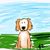 Waffles Bear's profile image