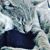 Nancy Brenner's profile image