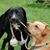 Linda Thorpe Slavin's profile image
