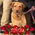 Donna Jordan's profile image