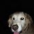 Linda Smith's profile image