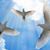 Eileen Miller's profile image