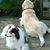 Nancy Biello's profile image