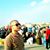 Mostafa Farag's profile image