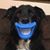 Katie Tompkins's profile image
