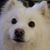 Sue Hervatin Haines's profile image