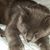 Tammy LaPointe's profile image
