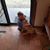 Paul D. Kersting's profile image