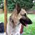 Anjie Bass Hinson's profile image