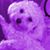 Laurie DeBolt Monahan's profile image