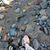 Shelly Wemhoener's profile image