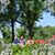 Brenda Pitonak's profile image