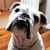 Missa Deller's profile image
