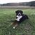 Christine Behr's profile image