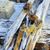 Nauti Rock's profile image