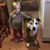 Eric Gilgunn's profile image