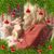 Andrea Sones's profile image