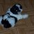 Mary Hartman's profile image