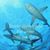 Emily Gronvold's profile image