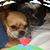 Nan Lindborg Duckworth's profile image