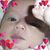 Marcia Alvarez Rodriguez's profile image