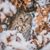 Sue Collins-Baines's profile image
