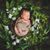 Nicole Paschal's profile image
