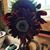 Liz Wernsing's profile image