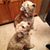 Kay Ann Siems Bahlmann's profile image