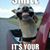 Karen Dickenson's profile image