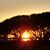 Donna Theresa Dombrosky's profile image
