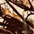 Mushtaque N Nausheen Abban's profile image