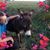 Paulette Adams Griffith's profile image