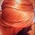 Carrie Sutton's profile image