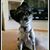 Tami Pickens's profile image