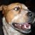 Jessica Mastrianni's profile image